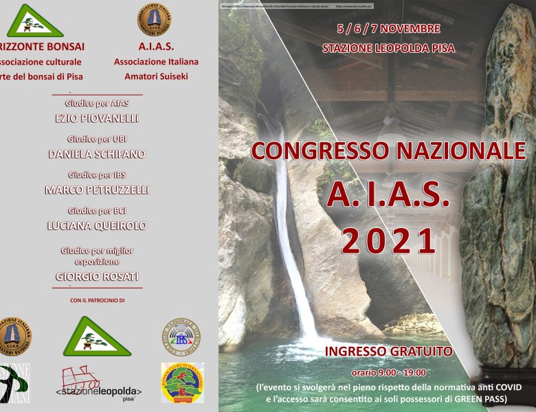 XXIV CONGRESSO AIAS | PISA – 5/7 Novembre 2021 – Programma ed info