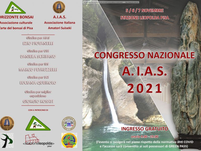 XXIV CONGRESSO AIAS | PISA – 5/7 Novembre 2021 – Programma ed info