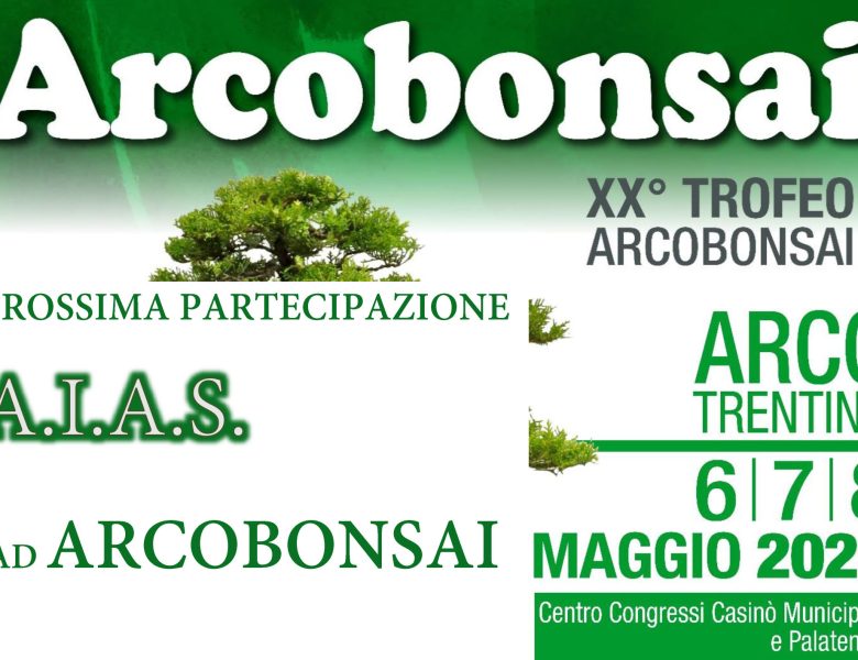 Arcobonsai 2022 | Esposizione AIAS