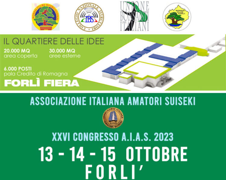 XXVI CONGRESSO NAZIONALE A.I.A.S. 2023