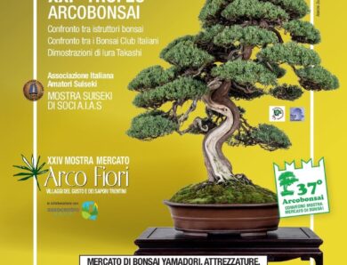 37° Convegno Mostra Mercato Arcobonsai –    XXI° Trofeo Istruttori/Clubs  2023