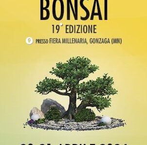 Mondo Bonsai 19° edizione 2024 – Fiera Millenaria Gonzaga (MN)